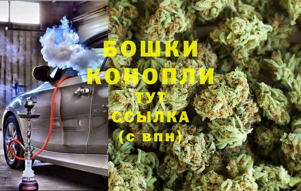молекула духа Зеленодольск