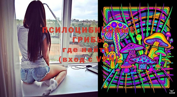 тгк Зеленокумск