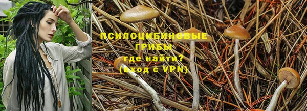 МДПВ Зерноград