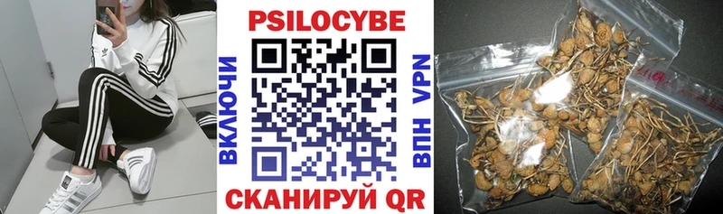 Галлюциногенные грибы Psilocybe  хочу   Артём 
