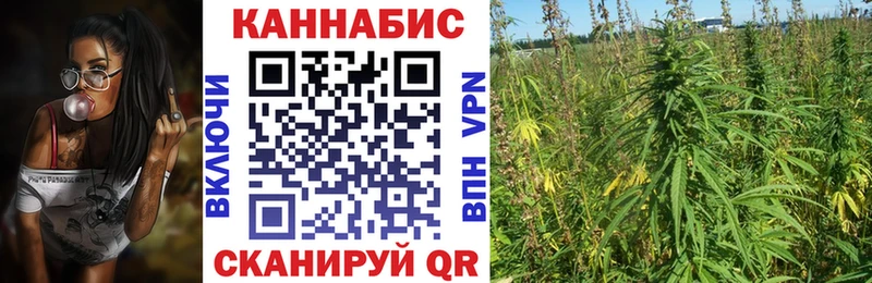 Шишки марихуана планчик  кракен tor  Артём 